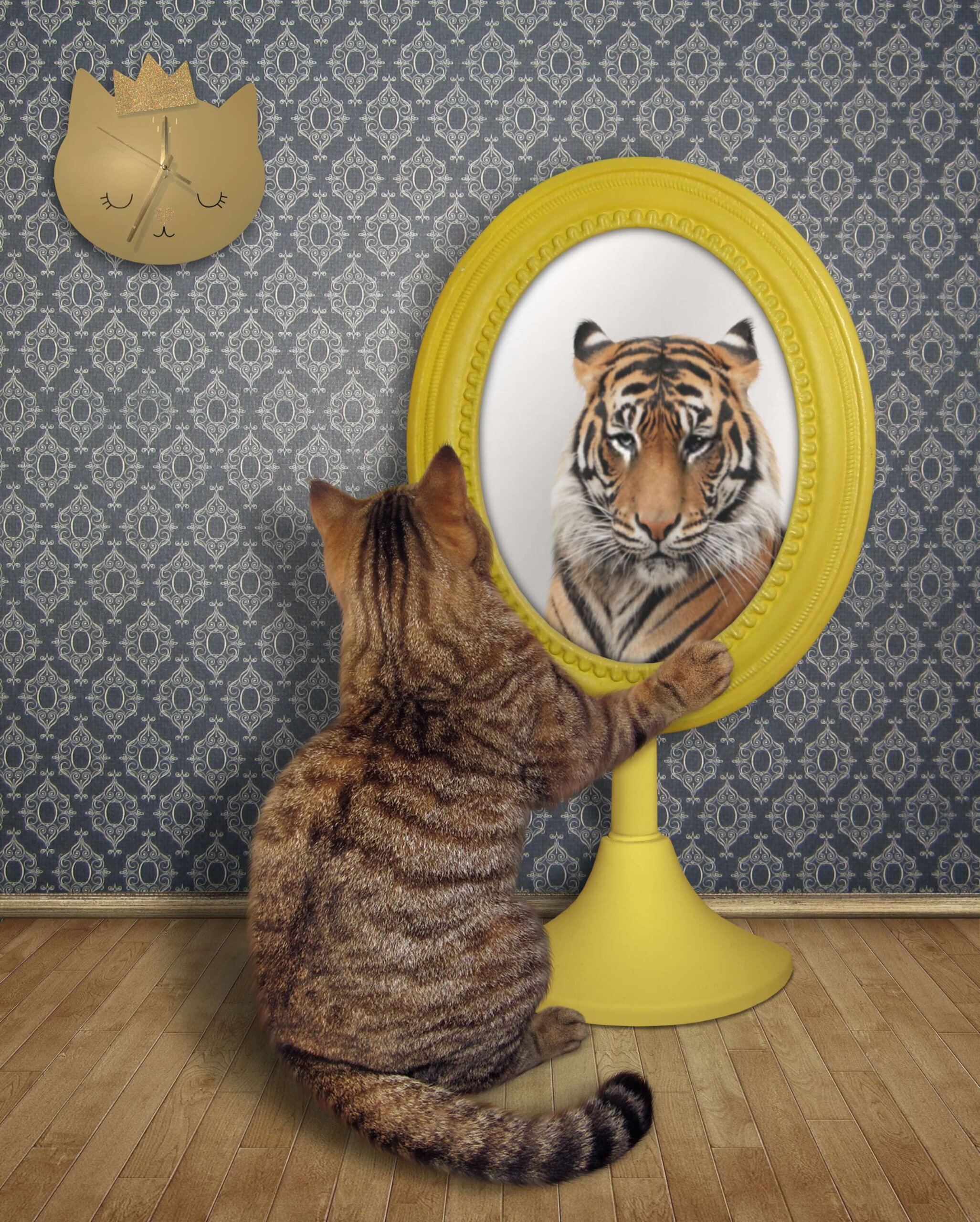 Cat looking in the mirror and seeing a tiger