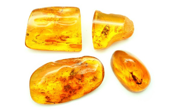 Four irregularly-shaped pieces of amber containing parts of bugs.